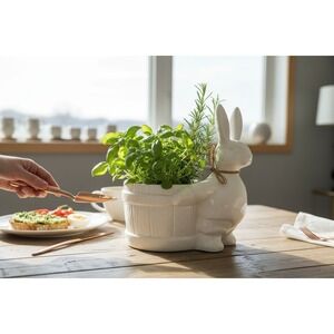 Marshalls Ceramic Bunny Rabbit Planter Unisex OS White NWOT Easter Barrel